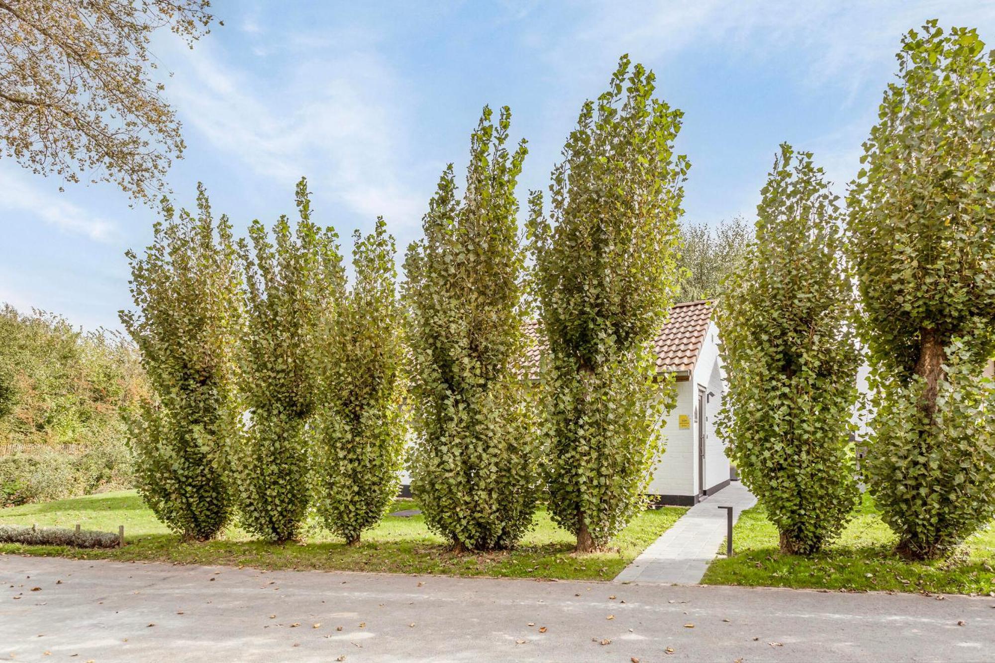 Casa Marit Villa Westouter Luaran gambar